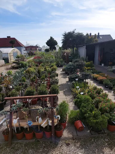 Ogrodnictwo Kobylnica